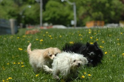May13_07_603.JPG