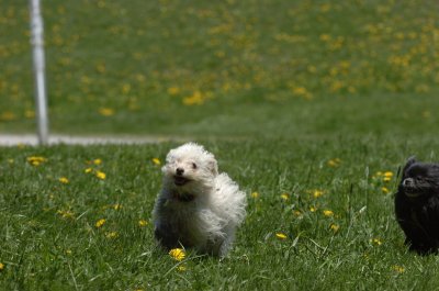 May13_07_607.JPG