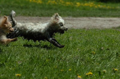 May13_07_472.JPG