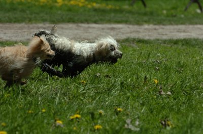 May13_07_473.JPG
