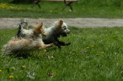 May13_07_474.JPG