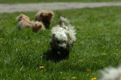 May13_07_483.JPG