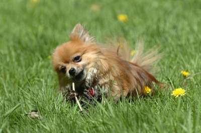 May13_07_487.JPG