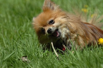 May13_07_493.JPG