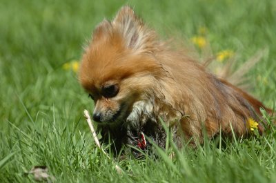 May13_07_495.JPG