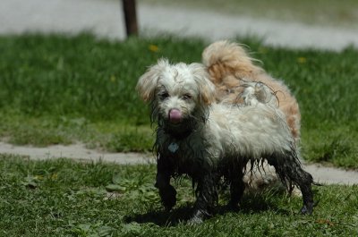 May13_07_520.JPG