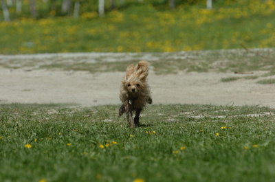May13_07_563.JPG