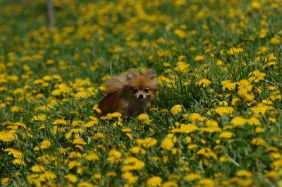 May13_07_189.JPG