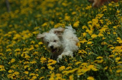 May13_07_199.JPG