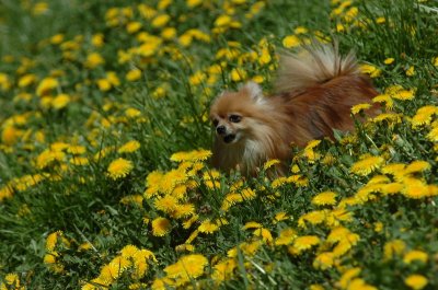 May13_07_204.JPG