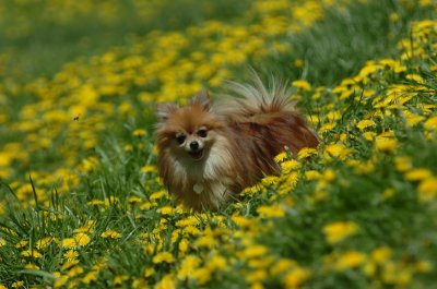 May13_07_209.JPG