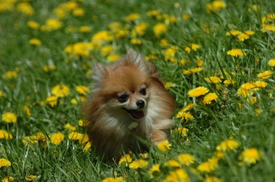 May13_07_211.JPG