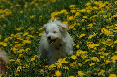 May13_07_215.JPG