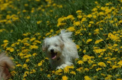 May13_07_216.JPG