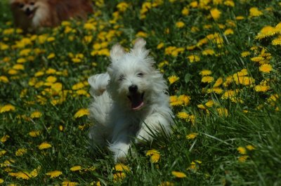 May13_07_217.JPG