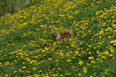 May13_07_221.JPG