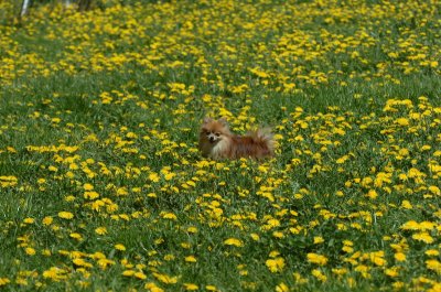 May13_07_222.JPG