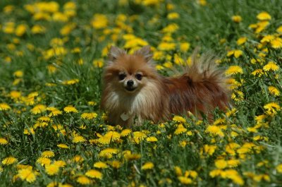 May13_07_223.JPG
