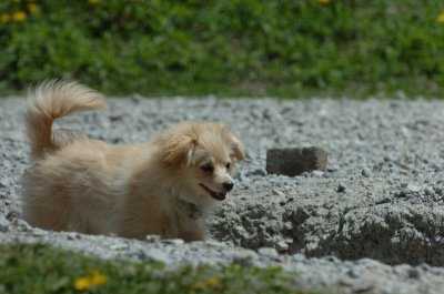May13_07_226.JPG