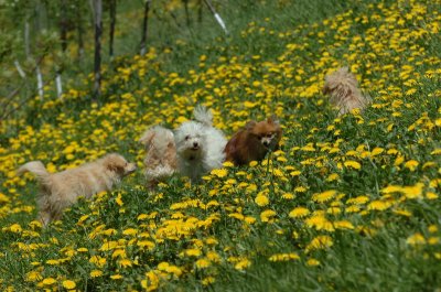 May13_07_228.JPG
