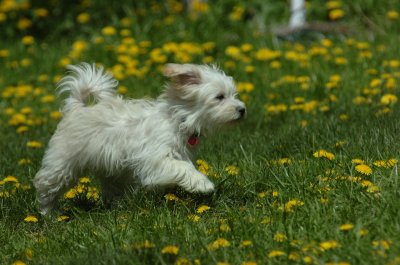 May13_07_230.JPG