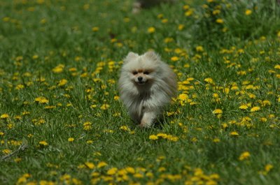 May13_07_231.JPG