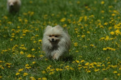 May13_07_232.JPG