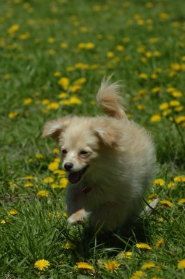 May13_07_235.JPG