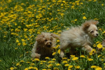 May13_07_237.JPG