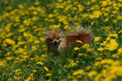 May13_07_239.JPG