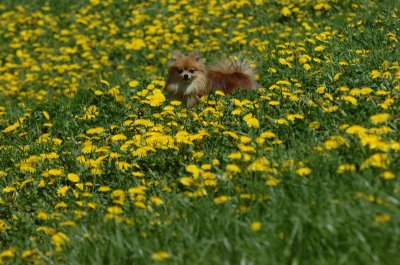 May13_07_243.JPG