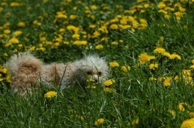 May13_07_248.JPG