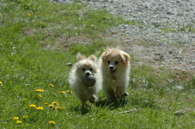 May13_07_269.JPG