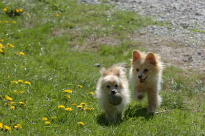 May13_07_270.JPG