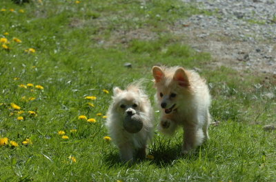 May13_07_272.JPG