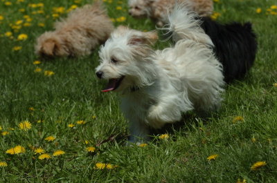 May13_07_279.JPG