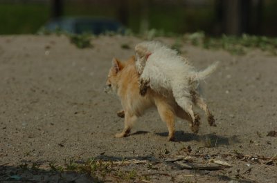 May15_07_1036.JPG