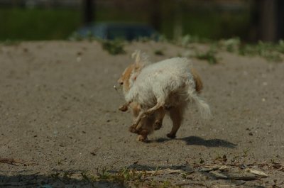 May15_07_1037.JPG