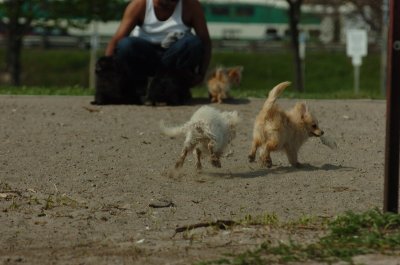 May15_07_1040.JPG