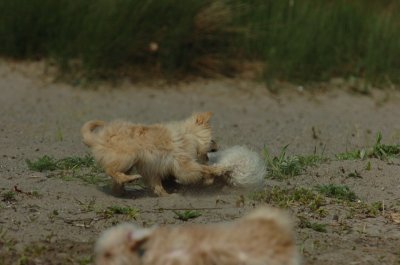 May15_07_1046.JPG