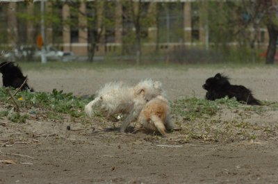 May15_07_430.JPG