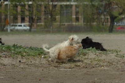 May15_07_431.JPG