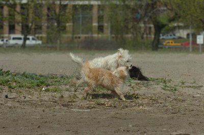 May15_07_432.JPG
