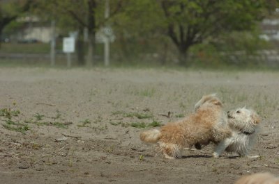 May15_07_433.JPG