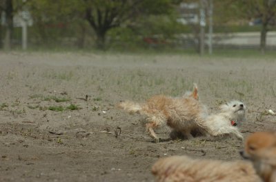 May15_07_434.JPG