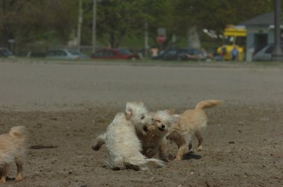 May15_07_436.JPG