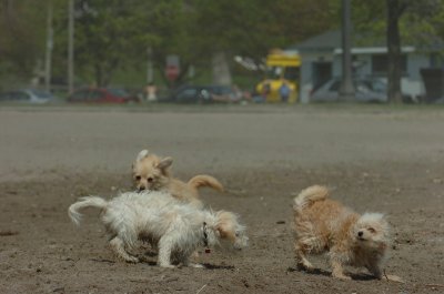 May15_07_439.JPG