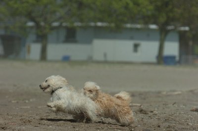 May15_07_443.JPG