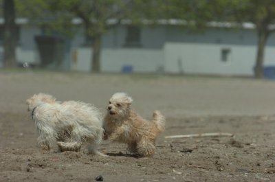 May15_07_444.JPG