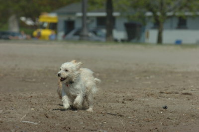 May15_07_449.JPG